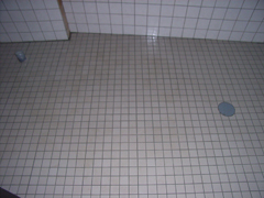 トイレの床タイル(テリオスコート塗装後)