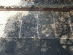 玄関アプローチの石畳。カビ､黒ずみあり。